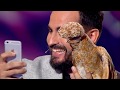 A 9 Year Old Showed Off His Chicken Farm Got Talent