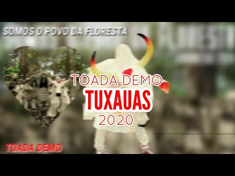 🔴 BOI GARANTIDO DEMO 2020 - TUXAUAS