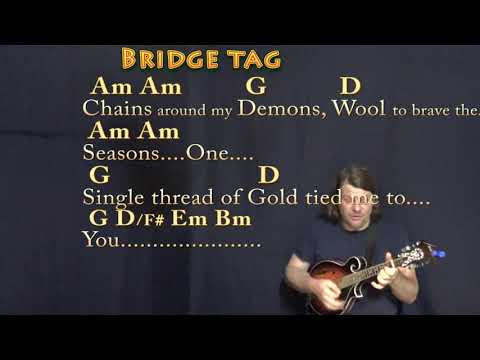 invisible string (Taylor Swift) Mandolin Cover Lesson in G with Chords/Lyrics