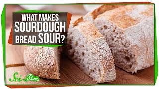 What Makes Sourdough Bread Sour?
