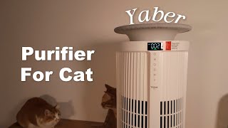 The ULTIMATE Solution for Pet Hair | Yaber Pets Air Purifier