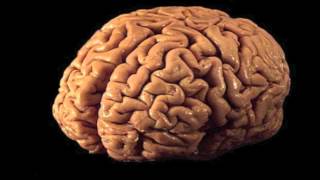 John Prine - Please Don&#39;t Bury Me