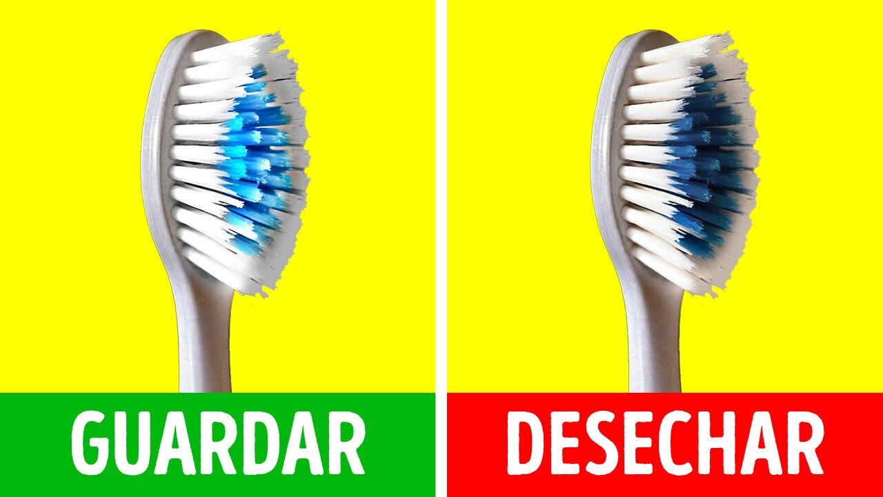 Las vidas secretas de las cosas ordinarias que usas todos los días