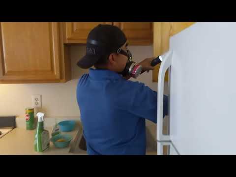 Treating Apartment for Cockroaches in Jackson, NJ