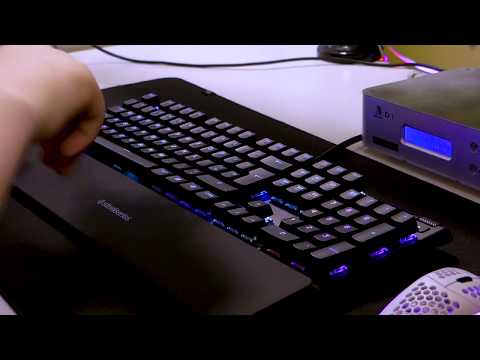 SteelSeries Apex Pro Typing || Omnipoint switches