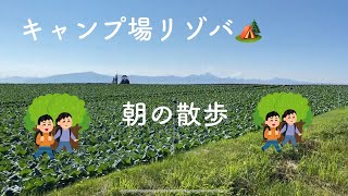 自然と一緒に目覚める。キャンプ場リゾートバイトの朝の散歩