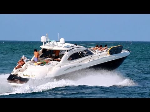 Sunseeker Predator | SERIOUS COIN