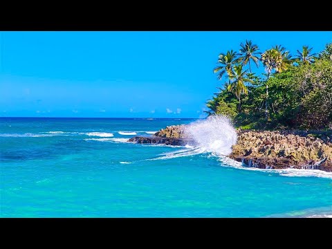 Olas del Paraíso - Playa Hermosa con Sonidos Relajantes del Mar sin Música
