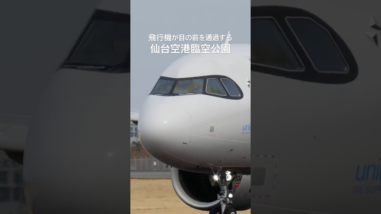 仙台空港臨空公園から眺める飛行機の激近タキシング アシアナ航空 エアバスA321neo #shorts