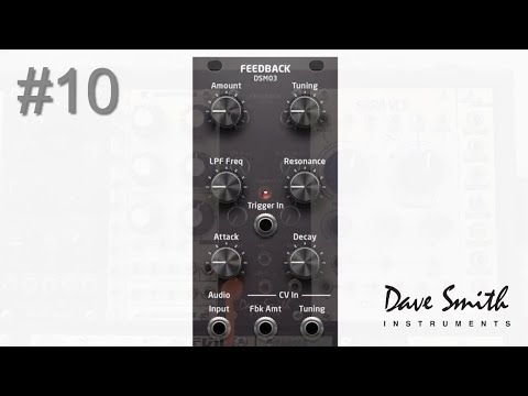 Dave Smith Instruments DSM03 Feedback Module, Delay and Filter for Karplus-Strong synthesis 2016 - 2018 - Black image 4