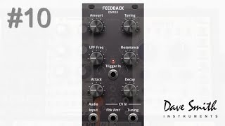 Video thumbnail for Overlooked Module #10: Dave Smith Instruments DSM03 Feedback by Musical Miscellany