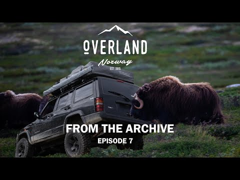 OVERLAND NORWAY - from the archive - episode 7 - Searching for muskox at Dovre