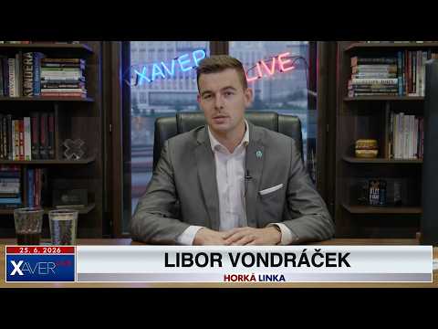 Vondráček: Ústavní soud poslal Pavla do Ankary jako kůl v plotě, hrozí soudcokracie