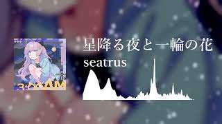 Cover art for 星降る夜と一輪の花 ○