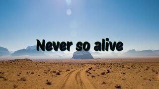 Toadies - I Burn Lyric Video