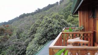preview picture of video 'Belmar - Monteverde / Cloud Forest Costa Rica'