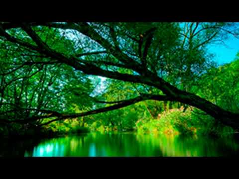 Pista Gloriosa pasión Celeste