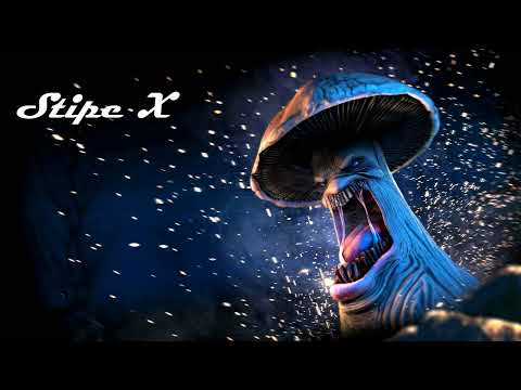 Hi-Tech! PsyTrance! Stipe-X - Hi-Tech Room