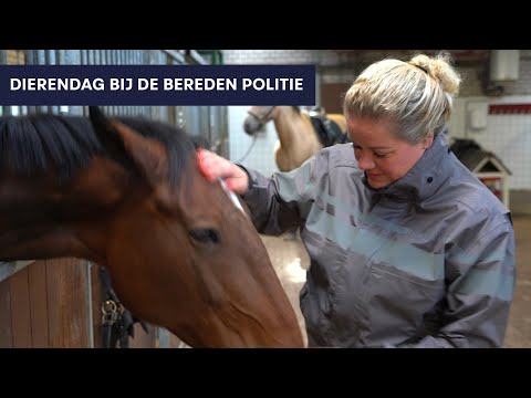 Dierendag bij de bereden politie | Politie Landelijke Eenheid