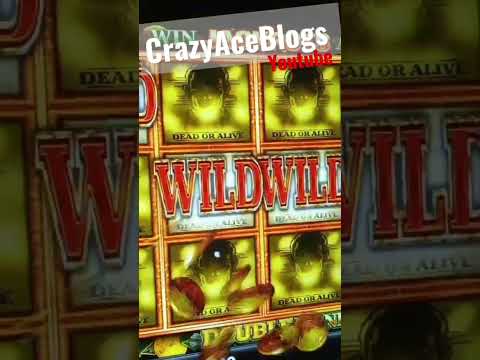DEAD OR ALIVE #bigwin #blog #casino #gambler #gambling #lucky #games #slotmachine #slots