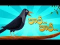 కాకి కాకి గావ్వాలా కాకి | Kaki Kaki Gavvala Kaki | Telugu Rhymes For Kids | Nurs