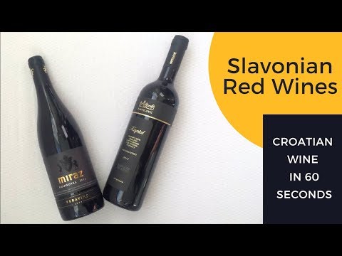 Croatian Wine in 60 Seconds: Red Wines from Slavonia