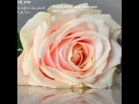ليلة سعيدة الحلوة طلوع الفجر ،،** good night,*** bonne nuit**Malam hari, subuh manis,,