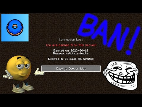 SPoBodos - I GOT BANNED ON THE DONUT SMP
