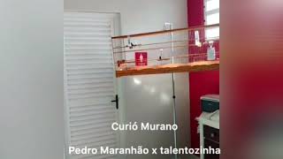 GALADOR MURANO
