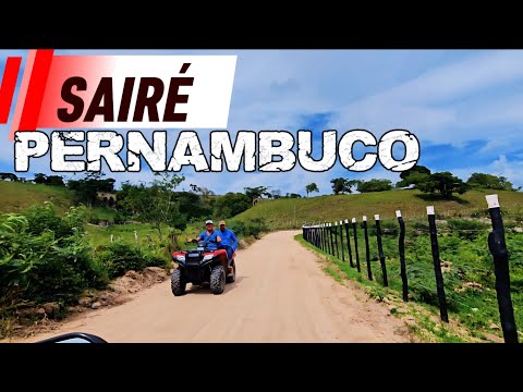 Sairé Pernambuco  terra da laranja. 