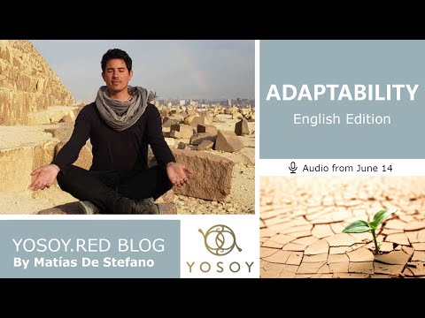 Day 315, ADAPTABILITY, Matías De Stefano, YOSOY.RED BLOG: Plexus-Emotional-Gemini, Read by Joan 6/14