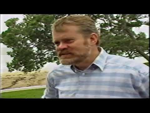 Pioneer Volleyball NZ - Beach Volleyball Glenn and Reid Hamilton 1990