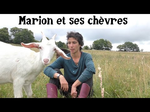 , title : 'Élever des chèvres et faire du fromage'