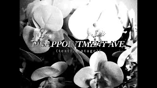 Disappointment Ave. Test No. 1