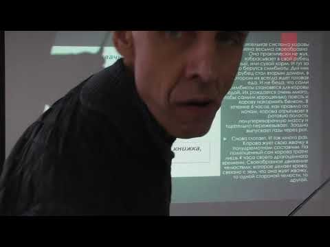 Кем были предки быков. Теория инволюции. Александр Белов 11.02.2023 г.