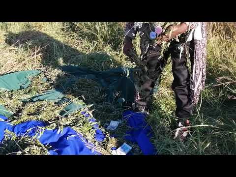 Be Noticed that its Ukuphanyiswa not Ukutwala/ wealth and safer