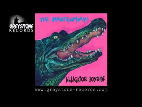 The Montgomerys 'When I Flew' - Alligator Joyride (Greystone Records)
