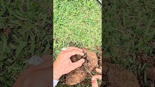 Encontrei um local onde ja localizei dezenas de objetos interessantes perdidos