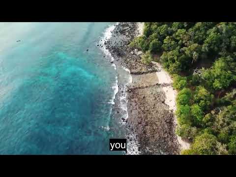 🌿 4K Amazing Beauty Of Nature is a masterpiece #movies