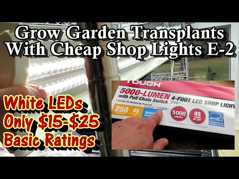 Basic White LED Shop Lights to Grow Amazing Seed Starts: Starting Seeds & Transplants Indoors E-2