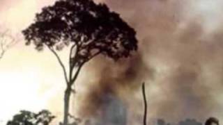 Quando os anjos choram