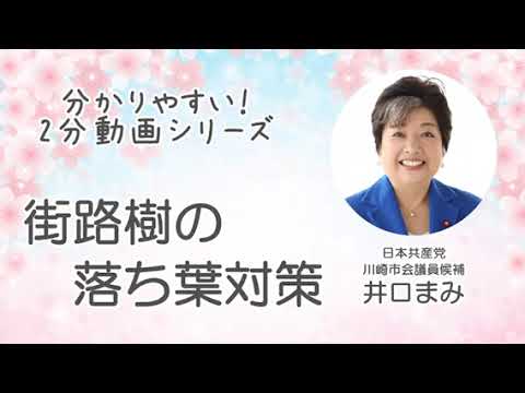 井口まみ紹介動画　～街路樹の落ち葉対策～