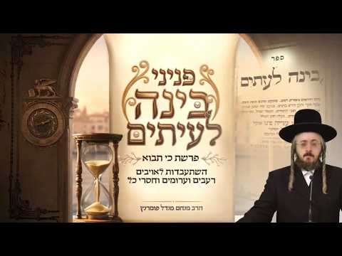פניני בינה לעיתים - פרשת כי תבוא
