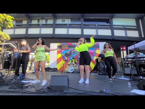 Ain't Nobody Chaka Khan and Rufus The Groove Foundation Cover Band