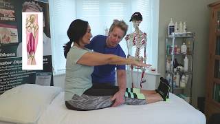 BEST tests for Hamstrings & lumbar spine muscles (sit & reach test)