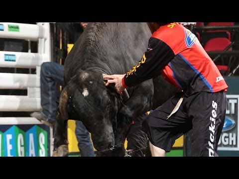 WRECK: Ty Pozzobon sustains a concussion vs. Coyote 20 (PBR)