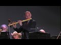 Vivaldi Concerto for flute and strings