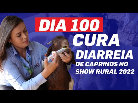 , title : 'Dia 100 cura diarreia de Caprinos no Show Rural 2022'