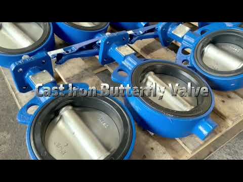 Cast Iron Butterfly Valve