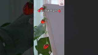 유튜브 썸네일